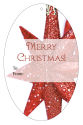 Vertical Oval Christmas Star To From Christmas Hang Tag